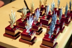 Viernes_Spanabish15_348