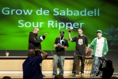 Viernes_Spanabish15_389