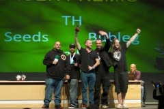 Viernes_Spanabish5_379