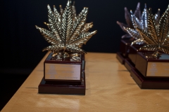 premios_viernes18_7_20180315_1022548639