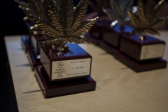 premios_viernes18_8_20180315_1911073869