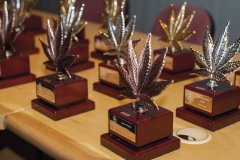 Viernes_premios_marzo9_011