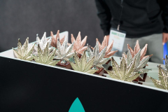 Spannabis Champions Cup 2026, Bilbao · Foto 09