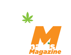 Cannabis-Magazine-cuadrado-organiza